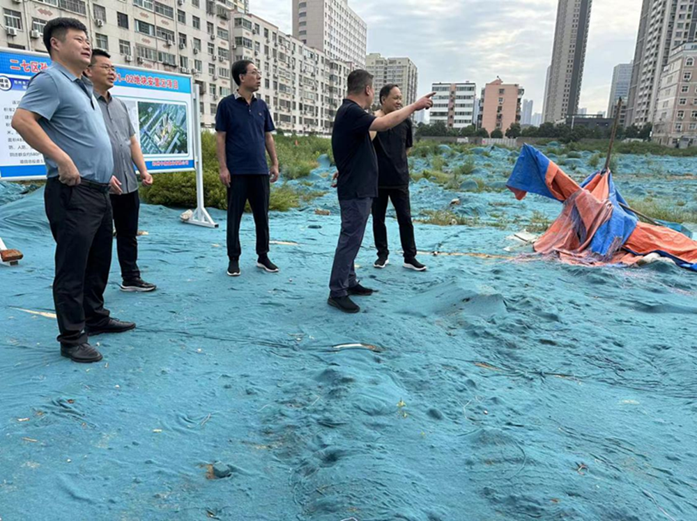 华体会体育-华体会(中国)
党委委员、副总经理张岩到侯寨新镇区安置区调研项目建设工作